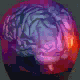 Brain Activity Reboot Phase 1
