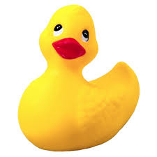 Duckyz PFP